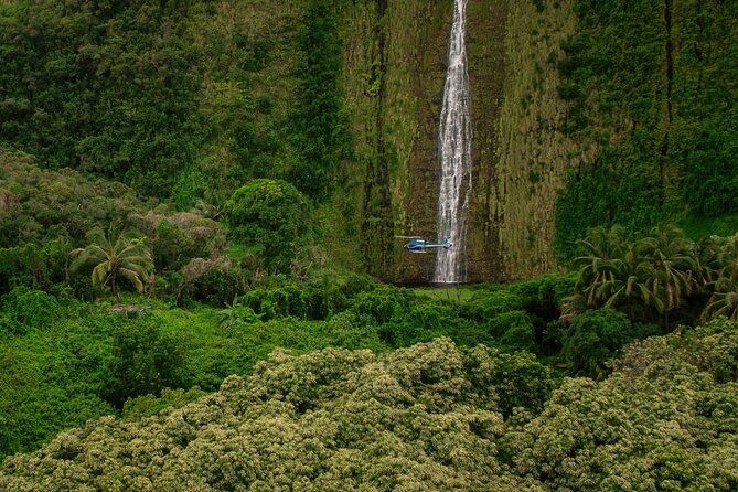 Kohala Waterfalls With Exclusive Landing Helicopter Tour - Traveler Reviews and Feedback