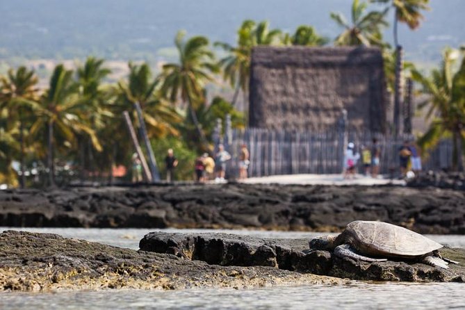 Kona Tour: Bee Farm, Kona Coffee, and National Historical Parks - Big Island Bees: Organic Honey Farm
