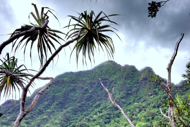Kualoa Ranch: Novice E-Bike - Recommendations for Visitors