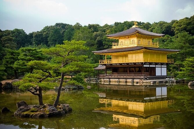 Kyoto Day Tour to Arashiyama, Fushimi Inari and Nara Deer Park - Accessibility and Participation