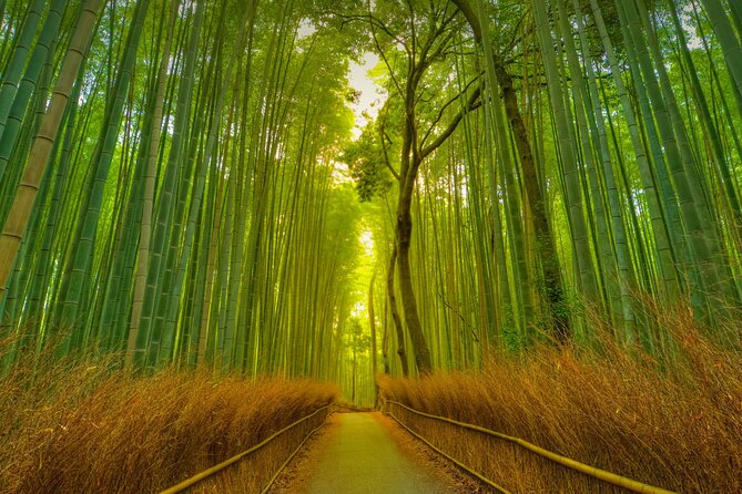 Kyoto Exclusive Private Tour With Vehicle & Professional Guide - Itinerary