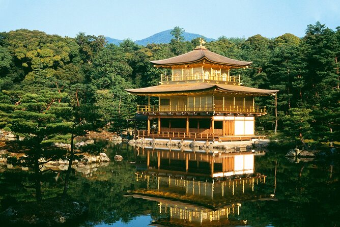Kyoto Full Day Tour Kinkakuji, Kiyomizu-dera and Fushimi Inari - Climbing Fushimi Inari Shrine