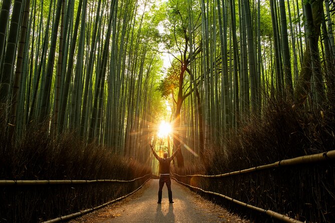 Kyoto Highlights: With Nijo Castle Ticket & Bamboo Forest - Meeting Point and Pickup Details