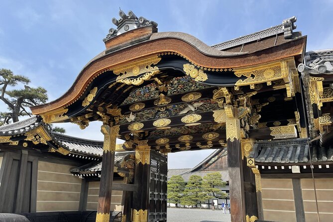 Kyoto Private Tour With National Licensed Guide From Osaka - Customization and Personalization Options
