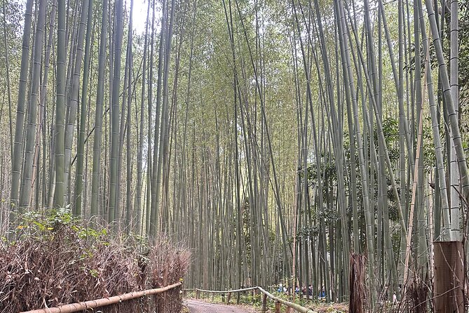 Kyoto Tour in Spanish: Fushimi Inari Bamboo Forest and Kinkakuji - Exploring Fushimi Inari Shrine