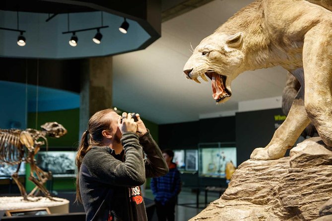 La Brea Tar Pits and Museum Admission Ticket With Excavator Tour - Accessibility and Location
