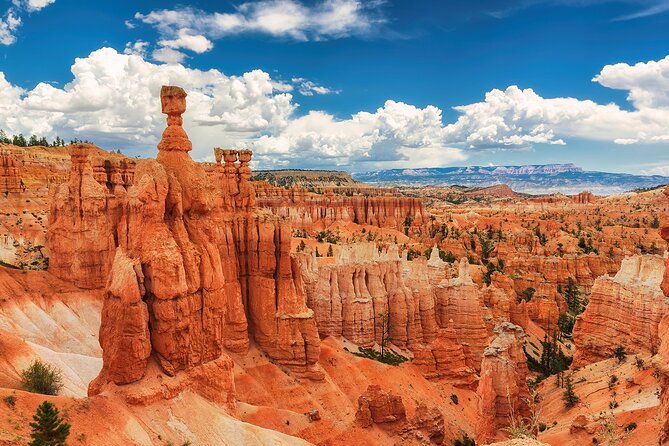 LA: Vegas, Grand Canyon, Antelope and Bryce, Zion 4-Day Tour - Customer Feedback