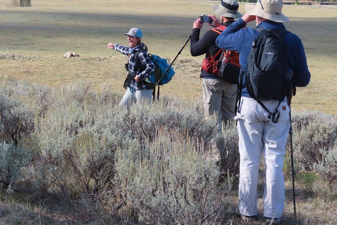Lamar Valley Safari Hiking Tour With Lunch - Cancellation Policy