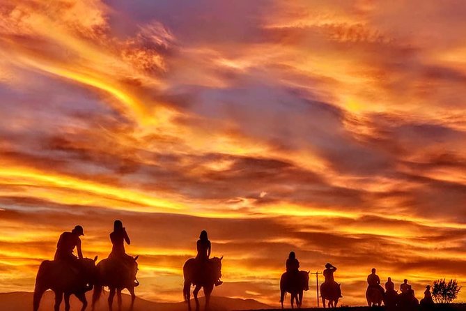 Las Vegas Horseback Ride With Meal - Dining Experience on the Tour