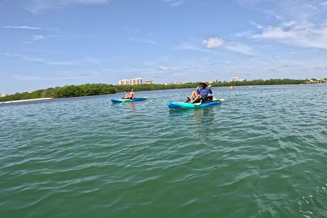 Lido Key Pedal Kayak Tour in Sarasota - Customer Feedback and Experiences