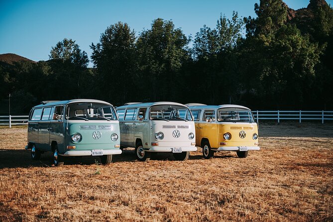 Los Angeles: Private Vintage VW Bus Tour in Malibu - Itinerary
