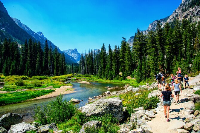 Luxury Private Grand Teton National Park Full-Day Tour - Positive Customer Feedback