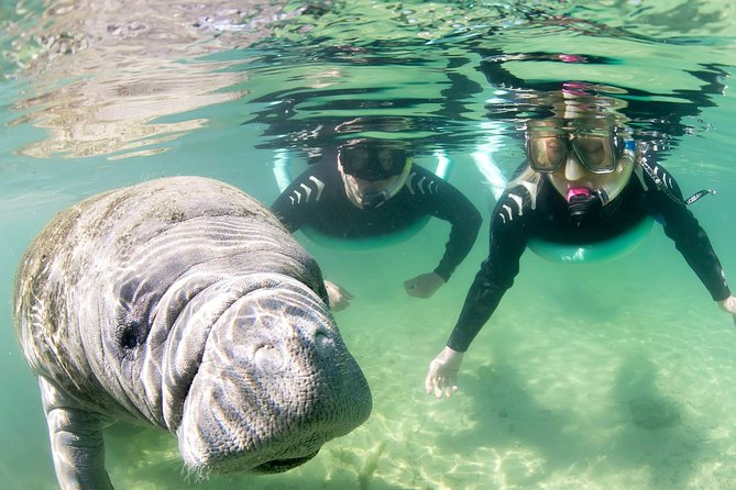 Manatee Snorkel Tour - Small Group - Preparing for the Snorkel Adventure