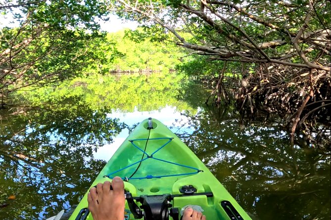 Mangrove Tunnels Pedal Kayak Eco-Tour in Anna Maria - Inclusions and Tour Details