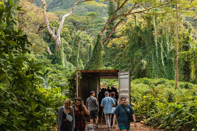 Manoa Waterfall Hike From Waikiki With Healthy Lunch Included - What to Expect on the Hike