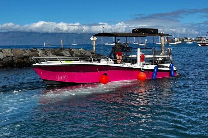 Maui Mid Day Magic Whale Watch - Cancellation Policy and Booking Information