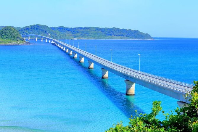 Moji Port, Subsea Tunnel and Shrine Day Tour From Fukuoka - Munakata Shrine Visit