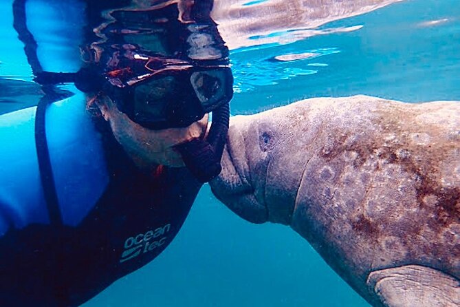 Morning Swim and Snorkel With Manatees-Guided Crystal River Tour - Provided Equipment and Amenities