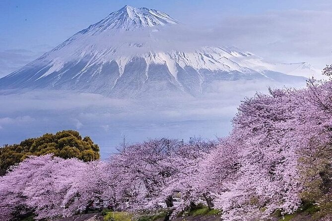 Mount Fuji and Hakone Full Day Private Sightseeing Tour - Exploring Mount Fuji