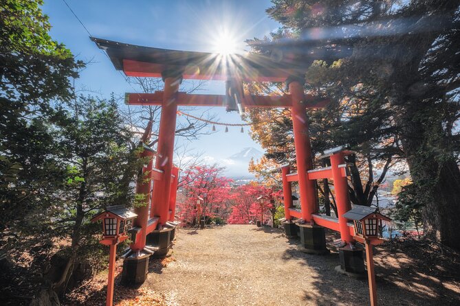 Mount Fuji and Lake Kawaguchi Private Day Trip From Tokyo - Enjoying the Scenic Beauty of Lake Kawaguchi