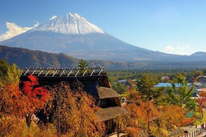 Mount Fuji Day Tour on Scenic Lakes and Oshino Hakkai Adventure - Reviews and Ratings