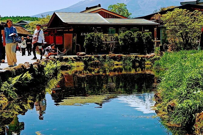Mountain Fuji Tour In Japan With Professional English Tour Guide - Getting the Most Out of Your Experience