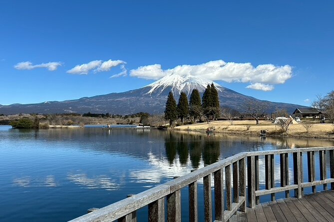 Mt.Fuji Area Tour From Shimizu Port /Small Bus - Booking and Cancellation Policy