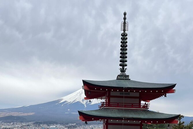 Mt. Fuji Cherry Blossom and Shibasakura Festival Tour - Experiencing the Shibasakura Festival