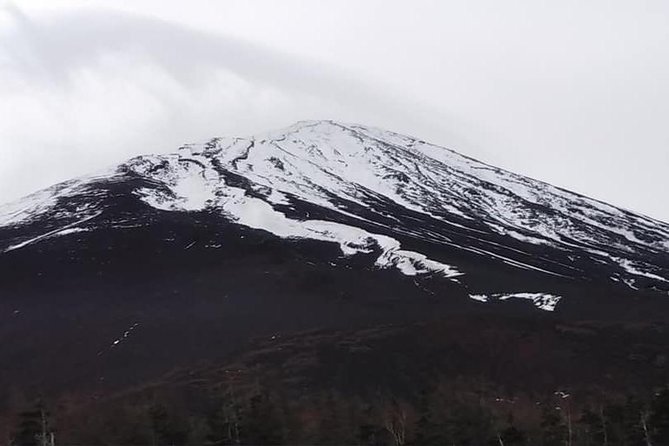 Mt. Fuji Day Tour by Private Minivan With Licensed Tour Guide and Driver - Itinerary Highlights