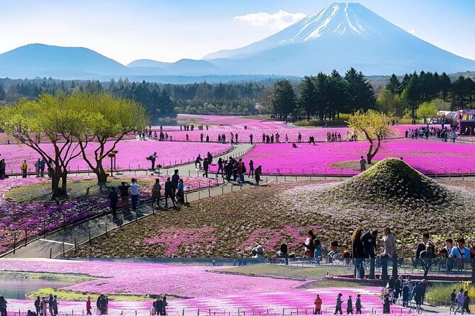 Mt Fuji Private Tour With English Speaking Driver - Highlights of the Private Tour
