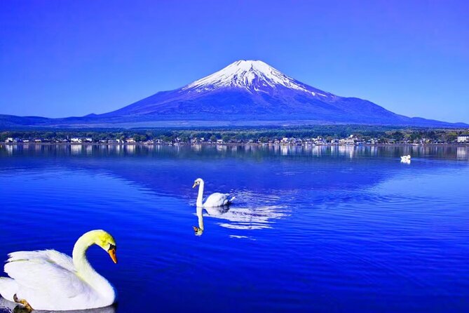 Mt. Fuji to Lake Kawaguchi, Lake Yamanaka and Onsen Day Tour - Discovering Lake Yamanaka