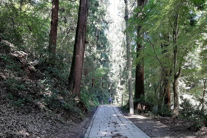 Mt. Takao With Hot Spring Private Tour - Tour Pricing
