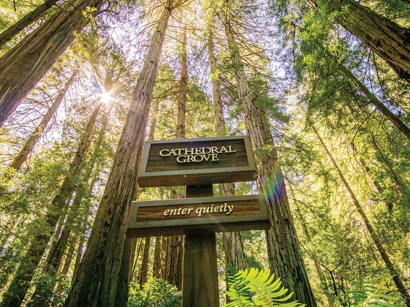 Muir Woods & Sausalito Tour - Discovering Sausalito