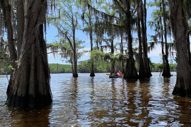 Mystical Private Kayak and Canoe Tours on Caddo Lake - Booking Your Adventure