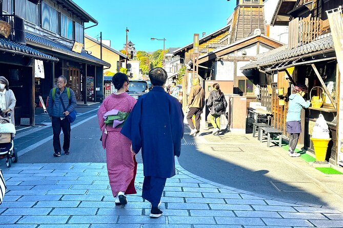 Nagoya: National Treasure Inuyama Castle & Tea Room Private Tour - Tour Inclusions and Exclusions