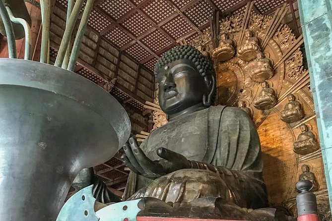 Nara Private Day Trip - Enjoy Your First-Time Visit to Nara! - Important Considerations