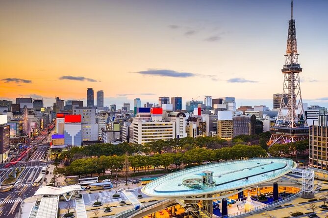 Narita Airport to Nagoya City Japan Private Transfer - Group Size and Additional Transfer Options