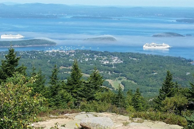 Narrated Bus Tour of Bar Harbor and Acadia National Park - Knowledgeable Tour Guides