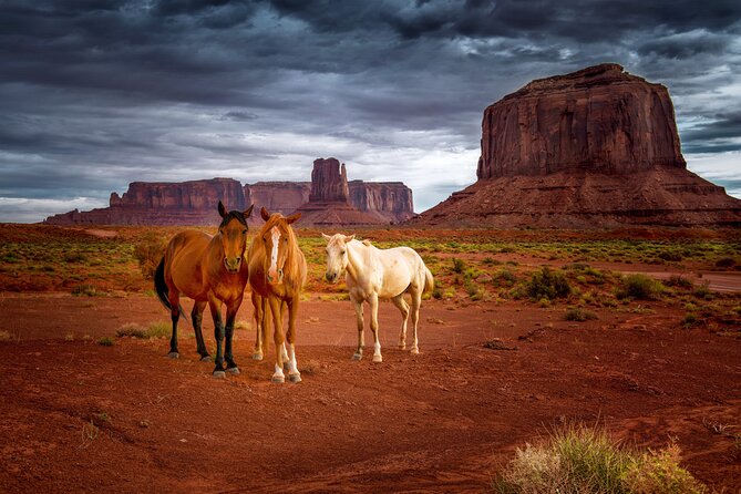 Navajo Tribal Park Monument Valley Self-Guided Driving Tour - Navigating the Scenic Monument Valley