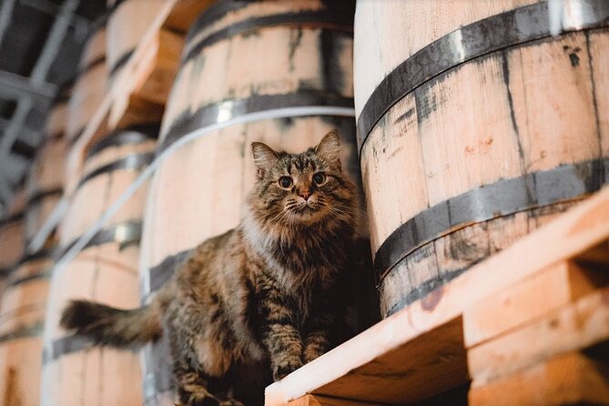Nelsons Green Brier Distillery Guided Tour With Tastings - Accessibility and Logistics