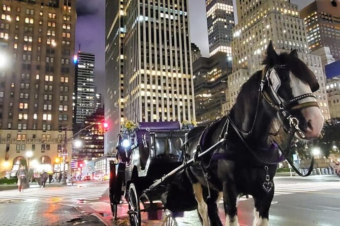 New York City Christmas Lights Private Horse Carriage Ride - Pricing and Payment Options