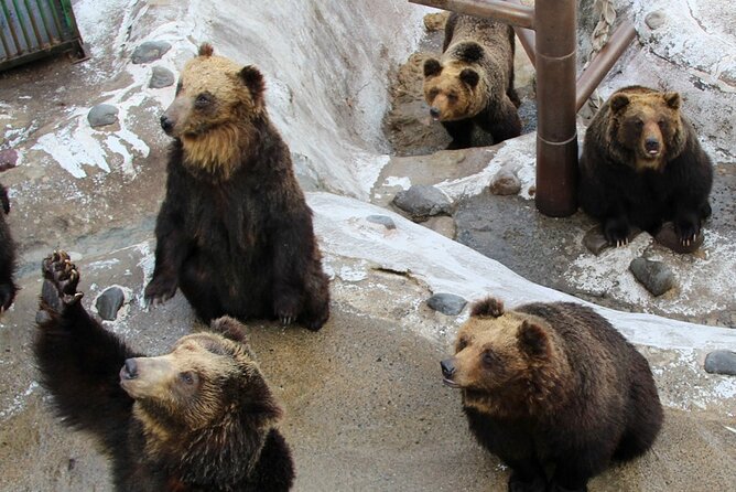 Noboribetsu Lake Toya and Sapporo Otaru Full Day Tour - Bear Ranch Experience