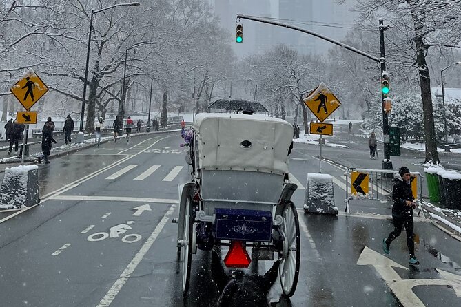 NYC Empire State Horses Carriage Ride in Central Park (45 Mins) - Pricing and Booking