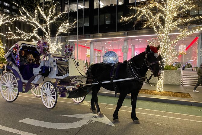 NYC Rockefeller Center Christmas Lights Horse Carriage Ride - Customer Reviews and Feedback