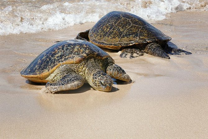 Oahu Island Photography Tour - Booking and Logistics