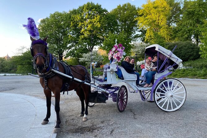 OFFICIAL NYC Central Park Horse Carriage Rides - Pricing and Gratuities