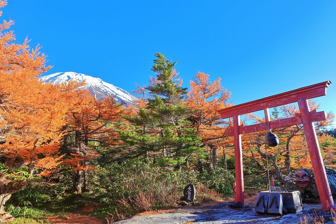 One Way Bus Tokyo to Kawaguchiko via Mt. Fuji 5th Station - Public Transportation Accessibility