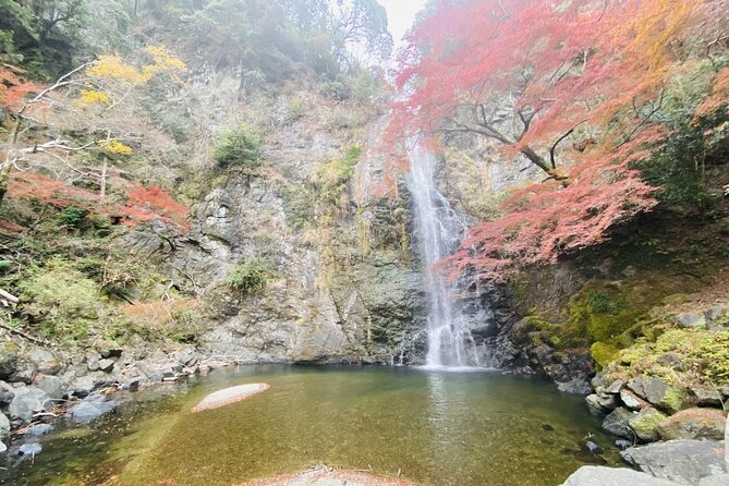 Osaka 8 Hours Tour Explore City and Minoh Falls - Accommodating Special Requests and Needs