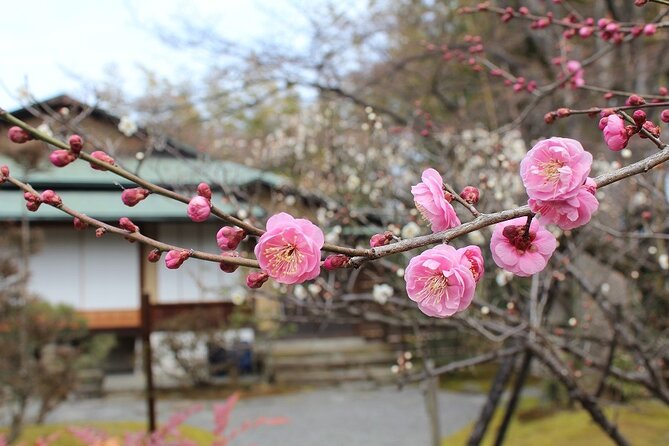 Osaka and Kyoto Stunning Cherry Blossoms and Sakura Cruise Tour - Iwashimizu Hachimangu Cable Car Ride