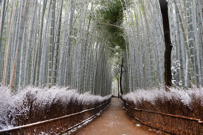 Osaka: Kyoto Scenic Day & Night Bus Tour With Dinner (Kobe Beef) - Savoring Kobe Beef Shabu-Shabu in Kyoto